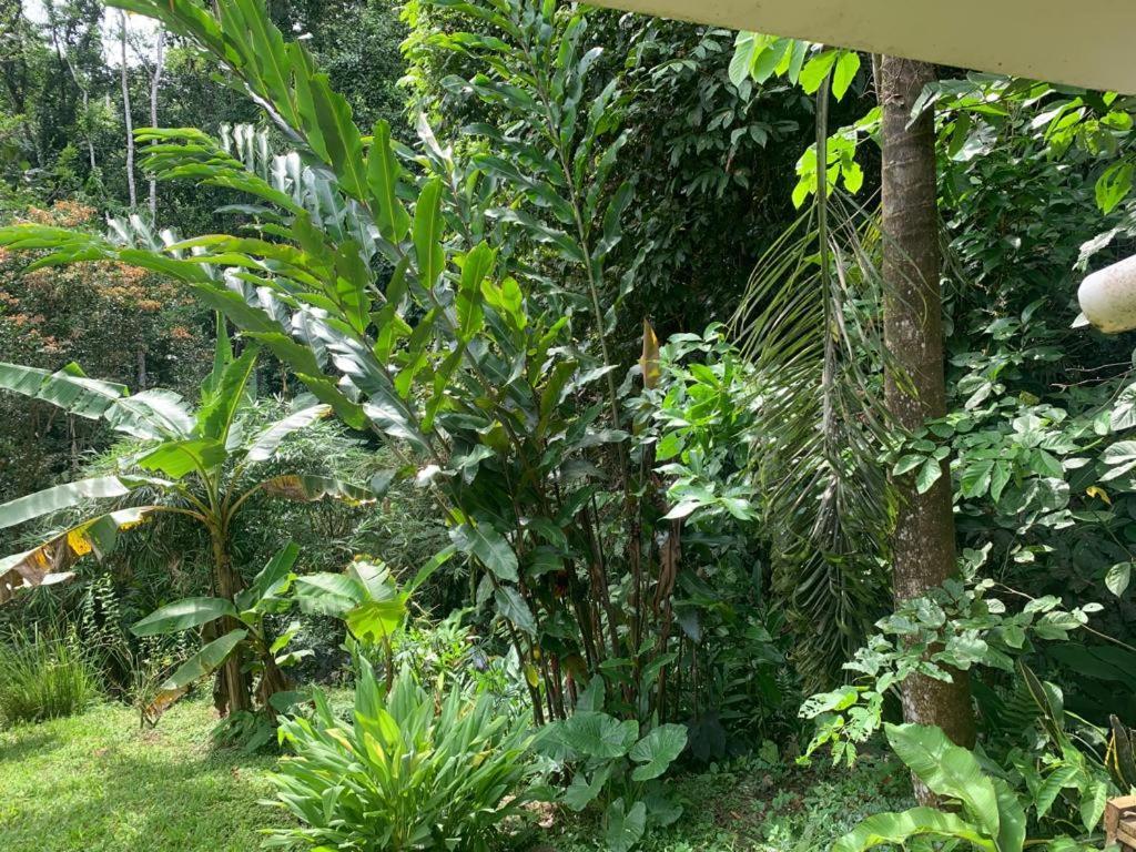 Pequeno Paraiso 2 Punta Uva